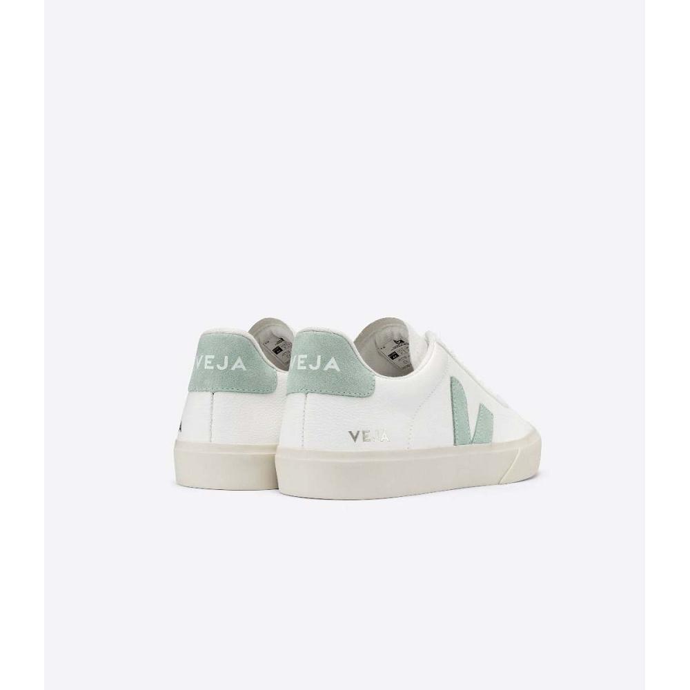 Low Tops Sneakers ανδρικα Veja CAMPO CHROMEFREE White/Green | GR 196NWY